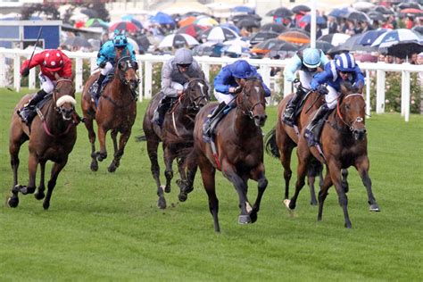 king's stand stakes stats|King's Stand Stakes (Group 1) (British Champions Series).